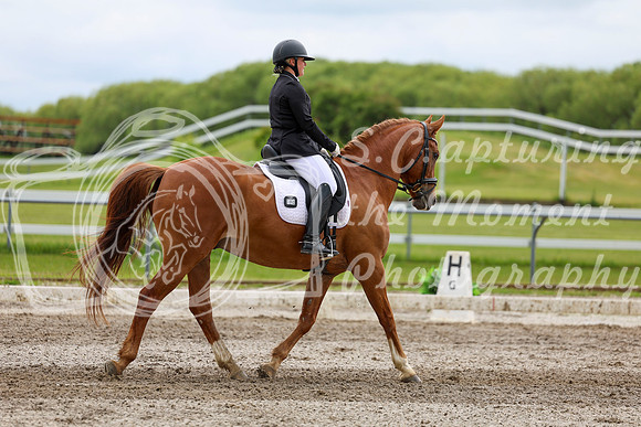 2025 - Dressage Festival - Sunday July 6th - 11104