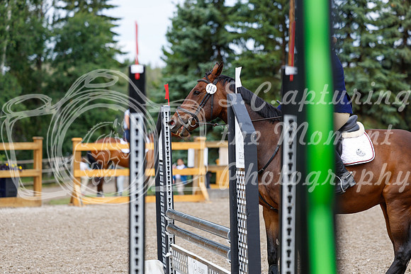 2025 - Haylee - Picco Horse Show - Saturday July 26th 03795