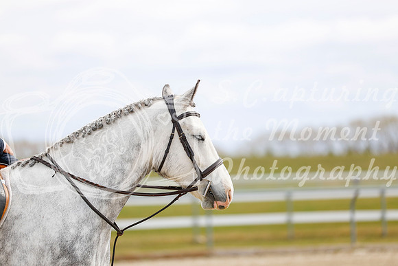 2025 - Haylee - Spring Welcome - Sunday April 27th - 03374