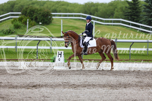 2025 - Dressage Festival - Sunday July 6th - 07640