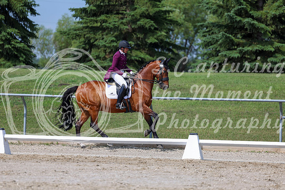 2025 - Dressage Festival - Saturday July 5th - 03085