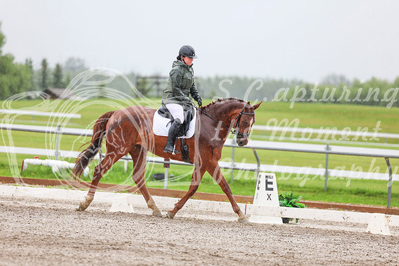 2025 - Dressage Festival - Sunday July 6th - 03599