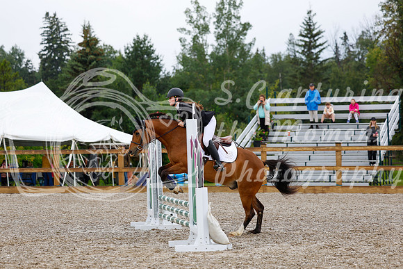 2025 - Haylee - Picco Horse Show - Sunday July 27th 00520