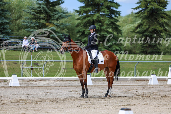 2025 - Dressage Festival - Saturday July 5th - 07302