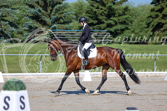 2025 - Dressage Festival - Saturday July 5th - 01268