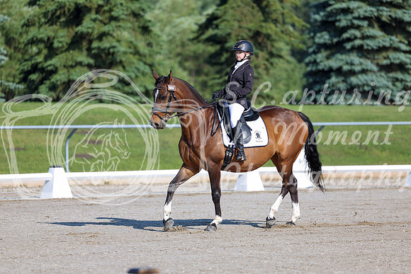 2025 - Dressage Festival - Saturday July 5th - 00424
