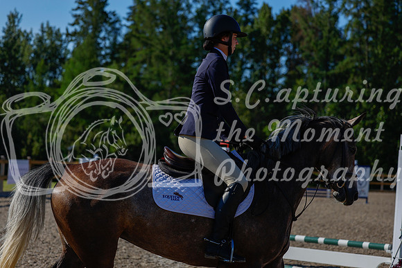 2025 - Haylee - Picco Horse Show - Thursday July 24th 00143