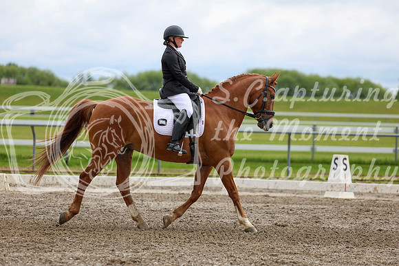 2025 - Dressage Festival - Sunday July 6th - 11096
