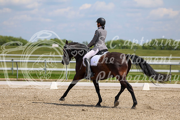 2025 - Dressage Festival - Saturday July 5th - 10316