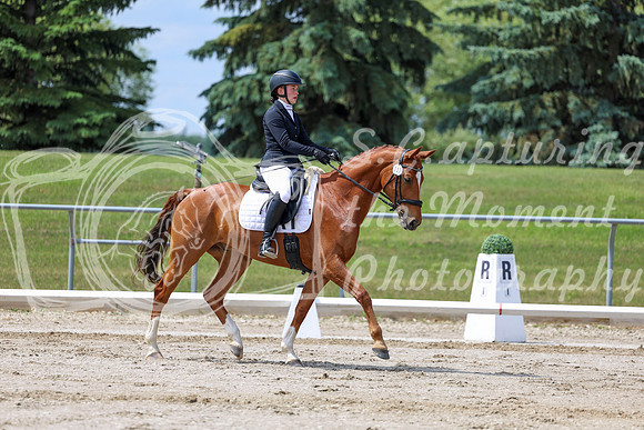 2025 - Dressage Festival - Saturday July 5th - 07871