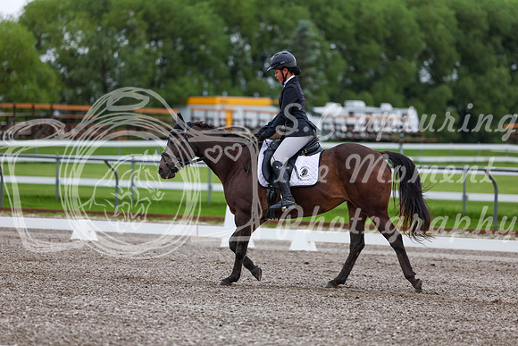 2025 - Dressage Festival - Sunday July 6th - 01683