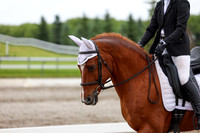 2025 - Dressage Festival - Sunday July 6th - 06081