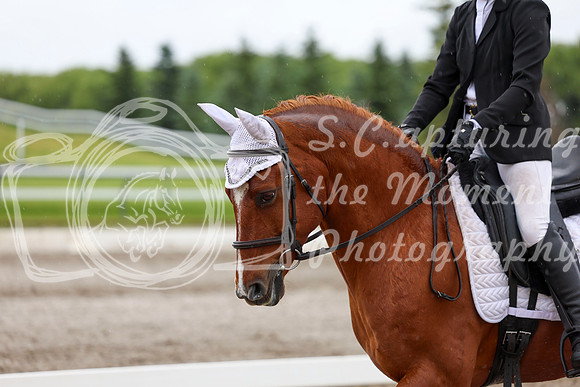 2025 - Dressage Festival - Sunday July 6th - 06081