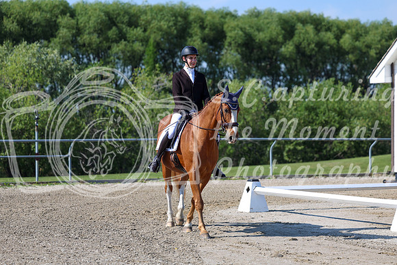 2025 - Dressage Festival - Saturday July 5th - 01641