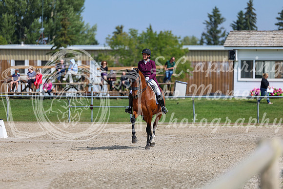 2025 - Dressage Festival - Saturday July 5th - 03066