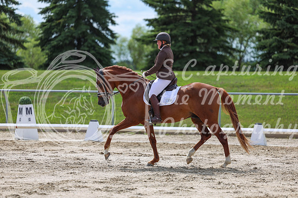 2025 - Dressage Festival - Saturday July 5th - 14158