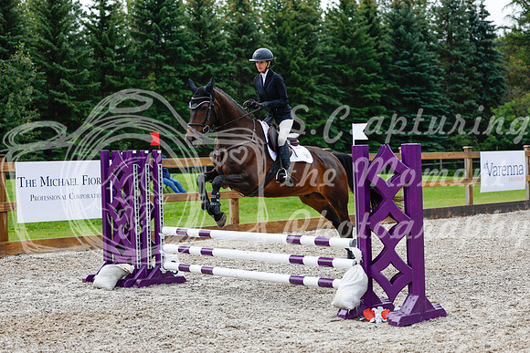 2025 - Haylee - Picco Horse Show - Sunday July 27th 02080