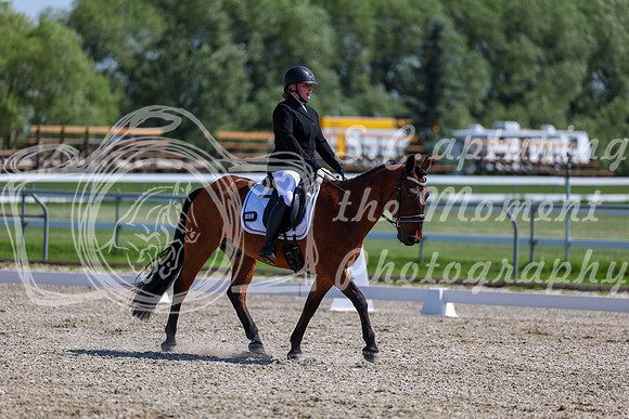 2025 - Dressage Festival - Saturday July 5th - 05158