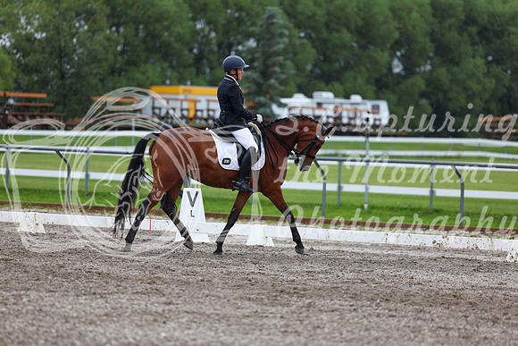 2025 - Dressage Festival - Sunday July 6th - 06699