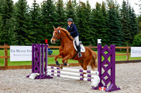 2025 - Haylee - Picco Horse Show - Sunday July 27th 00771