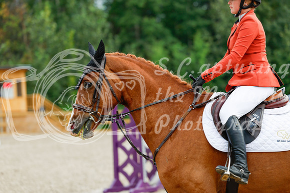 2025 - Haylee - Picco Horse Show - Saturday July 26th 09192