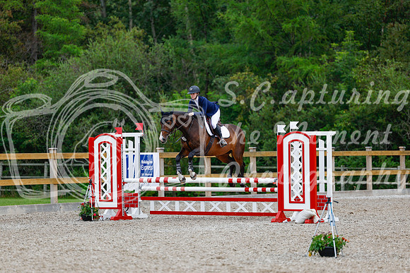 2025 - Haylee - Picco Horse Show - Sunday July 27th 03779