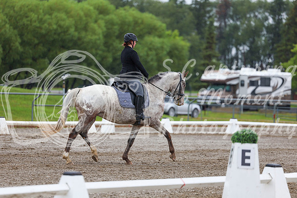 2025 - Dressage Festival - Sunday July 6th - 02147