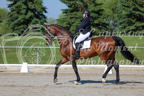 2025 - Dressage Festival - Saturday July 5th - 01051