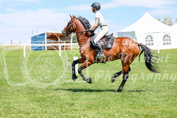 2025 - Shea - Teesdale - Thursday July 24th - 01652