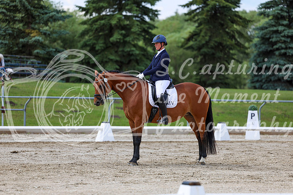 2025 - Dressage Festival - Saturday July 5th - 10475