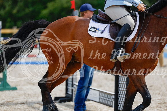 2025 - Haylee - Picco Horse Show - Friay July 25th 04605