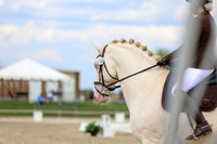 2025 - Dressage Festival - Saturday July 5th - 12071
