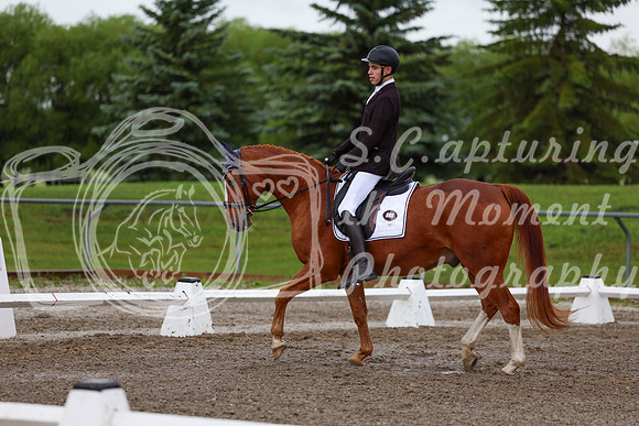 2025 - Dressage Festival - Sunday July 6th - 01335
