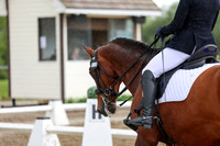 2025 - Dressage Festival - Sunday July 6th - 13158