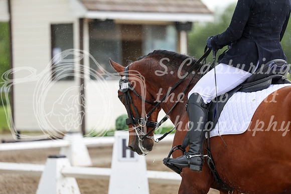 2025 - Dressage Festival - Sunday July 6th - 13158