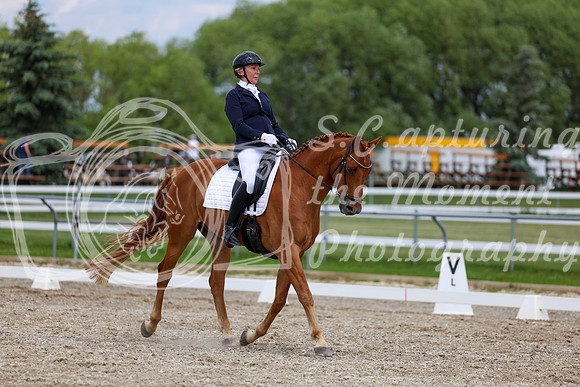 2025 - Dressage Festival - Saturday July 5th - 12471