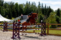 2025 - Haylee - Picco Horse Show - Thursday July 24th 04238