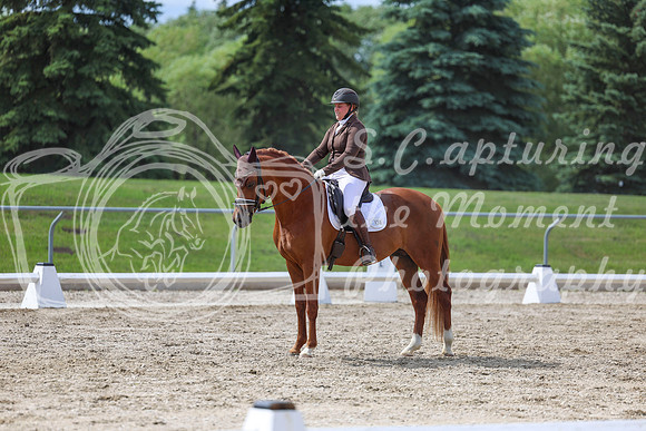 2025 - Dressage Festival - Saturday July 5th - 14148