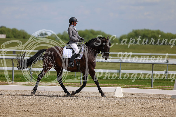 2025 - Dressage Festival - Saturday July 5th - 10360