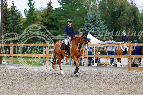 2025 - Haylee - Picco Horse Show - Saturday July 26th 04097