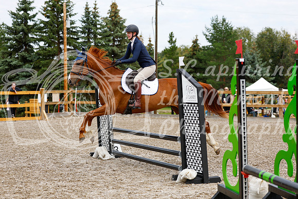 2025 - Haylee - Picco Horse Show - Saturday July 26th 01757