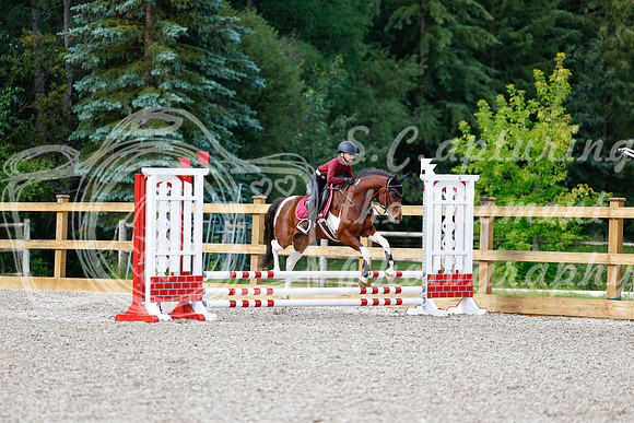2025 - Haylee - Picco Horse Show - Friay July 25th 00578