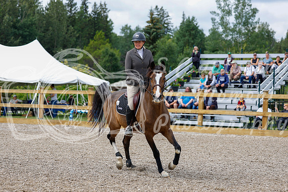 2025 - Haylee - Picco Horse Show - Saturday July 26th 03958