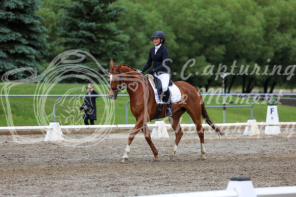 2025 - Dressage Festival - Sunday July 6th - 12264