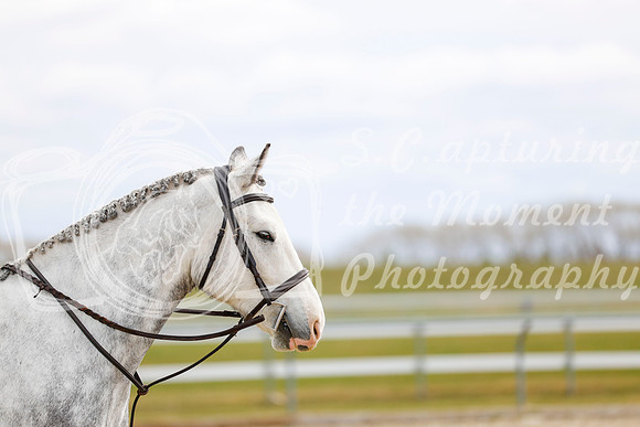 2025 - Haylee - Spring Welcome - Sunday April 27th - 03378