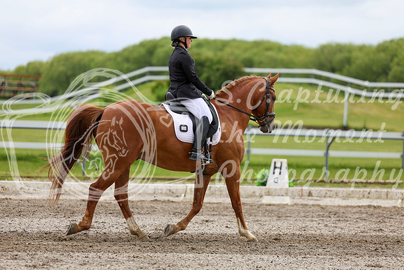 2025 - Dressage Festival - Sunday July 6th - 11105