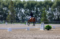 2025 - Dressage Festival - Saturday July 5th - 02351