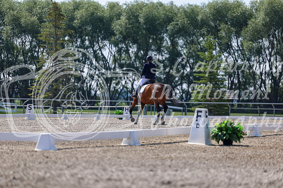 2025 - Dressage Festival - Saturday July 5th - 02351