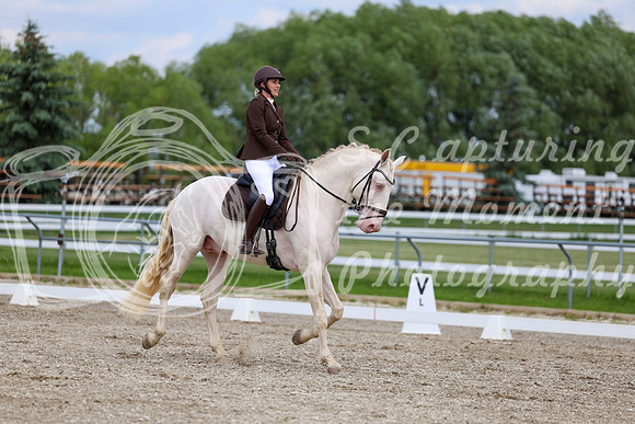 2025 - Dressage Festival - Saturday July 5th - 12080