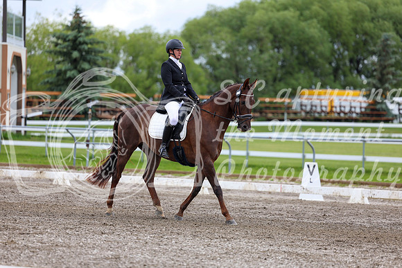 2025 - Dressage Festival - Sunday July 6th - 09581